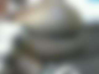 Live cam show with Missbossie - Black Amateur on Fit Hotties