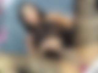 Cute-enderlyn21's Live Sex Cam Show
