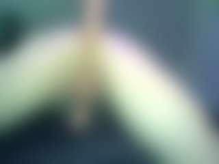 TranzForm's Live Sex Cam Show