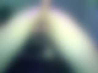 TranzForm's Live Sex Cam Show
