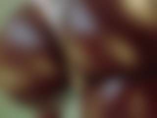 Candice's Live Sex Cam Show