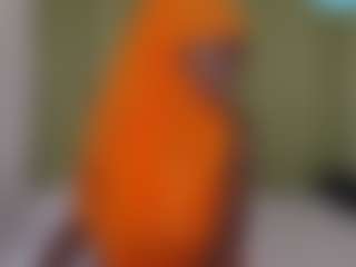 wet3D's Live Sex Cam Show