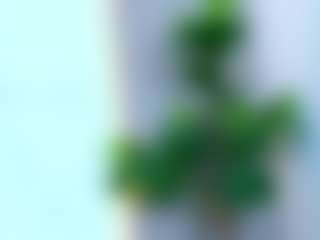 Lauren's Live Sex Cam Show