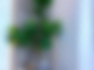 Lauren's Live Sex Cam Show