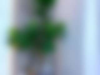 Lauren's Live Sex Cam Show