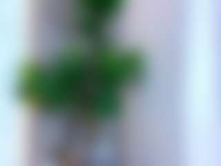 Lauren's Live Sex Cam Show