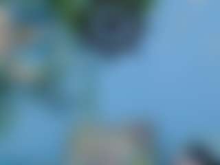 scolealia0's Live Sex Cam Show