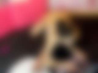 LaChula's Live Sex Cam Show