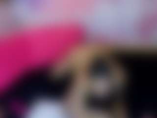 LaChula's Live Sex Cam Show
