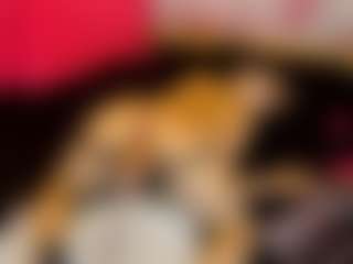 LaChula's Live Sex Cam Show