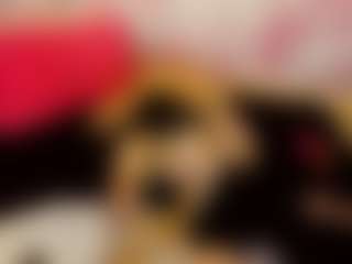 Live cam show with LaChula - Lush Toys on infinitiblacc.com