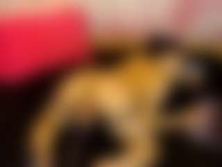 LaChula's Live Sex Cam Show