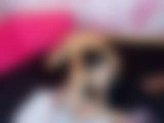 LaChula's Live Sex Cam Show