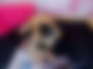 LaChula's Live Sex Cam Show