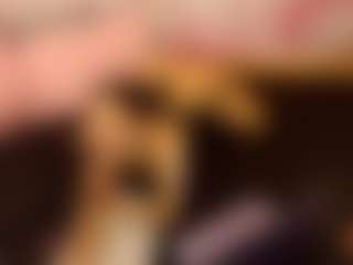 LaChula's Live Sex Cam Show