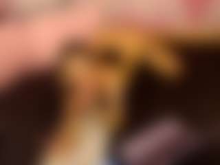 LaChula's Live Sex Cam Show