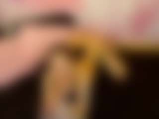 LaChula's Live Sex Cam Show
