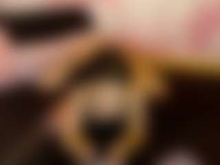 LaChula's Live Sex Cam Show