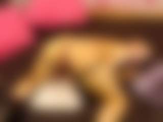 LaChula's Live Sex Cam Show