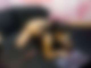 LaChula's Live Sex Cam Show