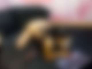 LaChula's Live Sex Cam Show