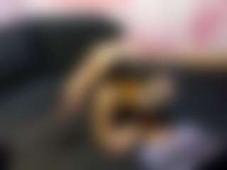 LaChula's Live Sex Cam Show