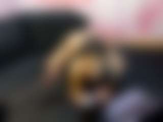LaChula's Live Sex Cam Show