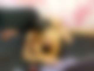 LaChula's Live Sex Cam Show