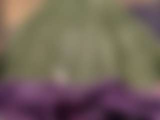 Live cam show with MissMiaMurr - Petite on xxxlivecams.org