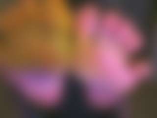 Layla Nicols's Live Sex Cam Show