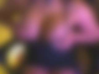 Layla Nicols's Live Sex Cam Show