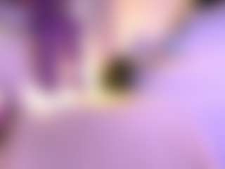 Live cam show with Layla Nicols - Creampie on Camsoda