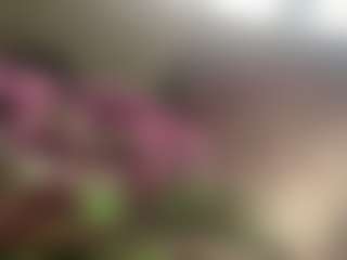 the quiet room's Live Sex Cam Show