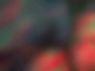 the quiet room's Live Sex Cam Show