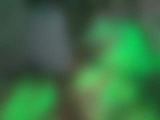 the quiet room's Live Sex Cam Show