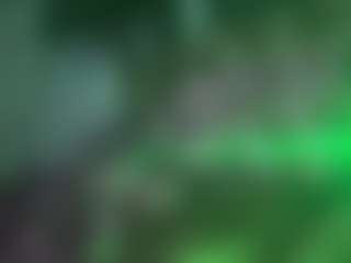 the quiet room's Live Sex Cam Show