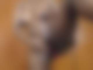 Bianca's Live Sex Cam Show