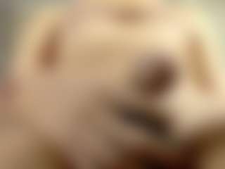 SaraSmit's Live Sex Cam Show