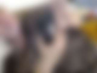 Live cam show with DirtyLizaRich - Ass To Mouth on Dolls Live