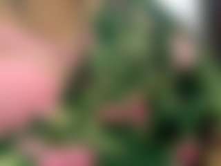 Live cam show with TABOOBREAKERS - Genital Piercings on Uber Horny
