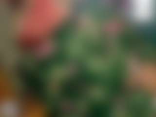 Live cam show with TABOOBREAKERS - Living Room on slutload