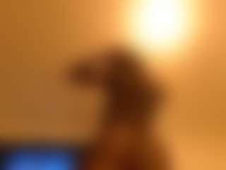 sofiassko's Live Sex Cam Show