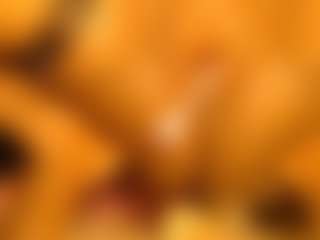 sofiassko's Live Sex Cam Show