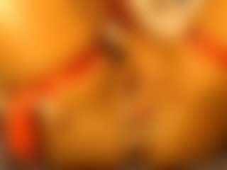 sofiassko's Live Sex Cam Show