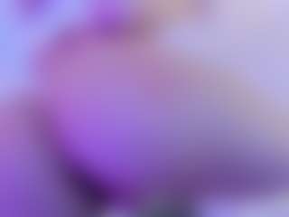 Lissa Babe's Live Sex Cam Show