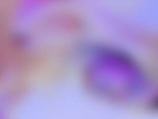 Lissa Babe's Live Sex Cam Show