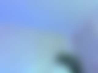Lissa Babe's Live Sex Cam Show