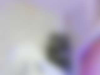 Lissa Babe's Live Sex Cam Show