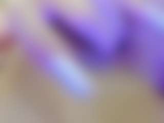 Lissa Babe's Live Sex Cam Show