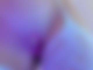 Lissa Babe's Live Sex Cam Show